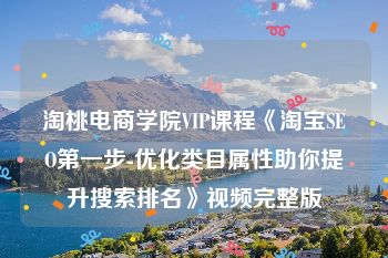 淘桃电商学院VIP课程《淘宝SEO第一步-优化类目属性助你提升搜索排名》视频完整版