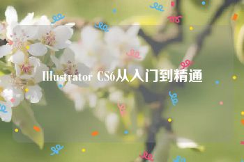 Illustrator CS6从入门到精通