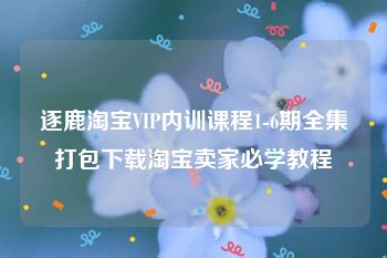 逐鹿淘宝VIP内训课程1-6期全集打包下载淘宝卖家必学教程