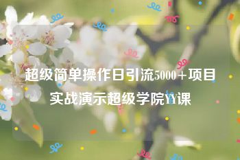 超级简单操作日引流5000+项目实战演示超级学院YY课