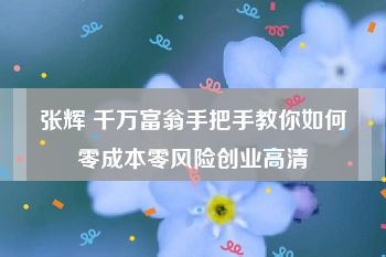 张辉 千万富翁手把手教你如何零成本零风险创业高清