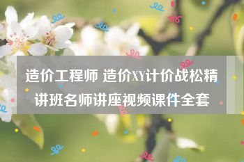 造价工程师 造价XY计价战松精讲班名师讲座视频课件全套