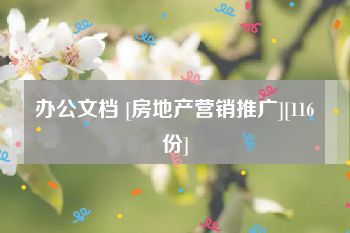 办公文档 [房地产营销推广][116份]