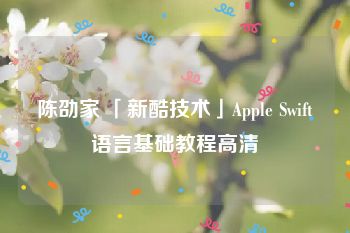 陈劭家 「新酷技术」Apple Swift语言基础教程高清