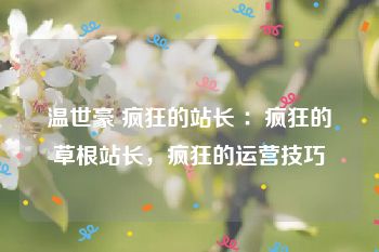 温世豪 疯狂的站长 ：疯狂的草根站长，疯狂的运营技巧