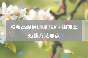 股票高级培训课 JGJC+周期率短线方法要点