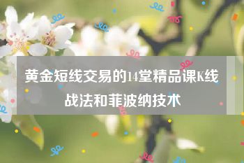 黄金短线交易的14堂精品课K线战法和菲波纳技术