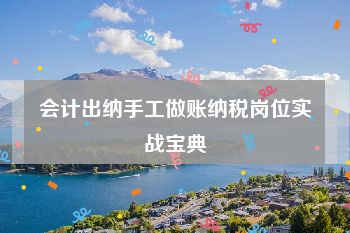 会计出纳手工做账纳税岗位实战宝典