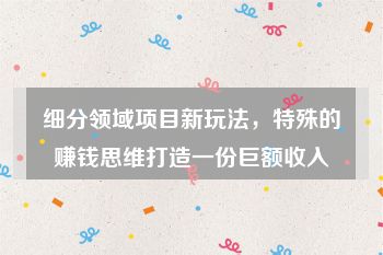 细分领域项目新玩法，特殊的赚钱思维打造一份巨额收入