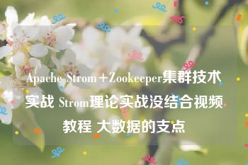 Apache Strom+Zookeeper集群技术实战 Strom理论实战没结合视频教程 大数据的支点