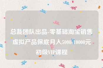 总裁团队出品-零基础淘宝销售虚拟产品保底月入5000-10000元初级VIP课程