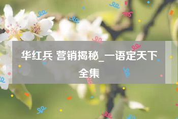 华红兵 营销揭秘_一语定天下全集