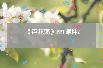 《芦花荡》PPT课件2