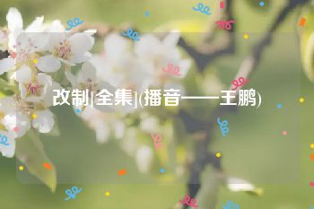 改制[全集](播音——王鹏)