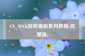 CN_NUCK游戏辅助系列教程(完整版)