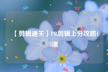 【剪辑通关】PR剪辑上分攻略15课