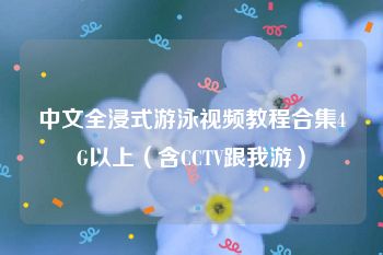 中文全浸式游泳视频教程合集4G以上（含CCTV跟我游）