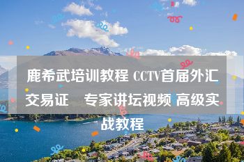 鹿希武培训教程 CCTV首届外汇交易证劵专家讲坛视频 高级实战教程