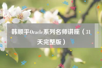 韩顺平Oracle系列名师讲座（31天完整版）