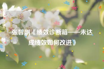 张智刚《绩效诊断箱——未达成绩效如何改进》