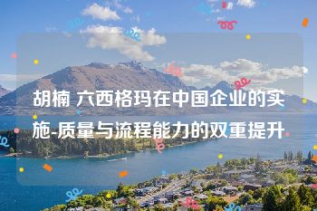 胡楠 六西格玛在中国企业的实施-质量与流程能力的双重提升