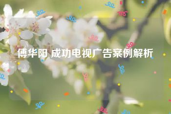 傅华阳 成功电视广告案例解析