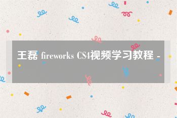 王磊 fireworks CS4视频学习教程 -