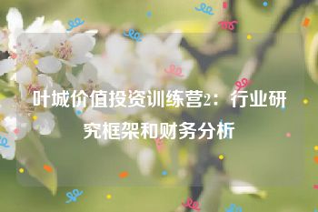 叶城价值投资训练营2：行业研究框架和财务分析