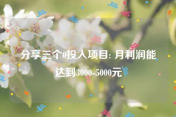 分享三个0投入项目: 月利润能达到3000-5000元