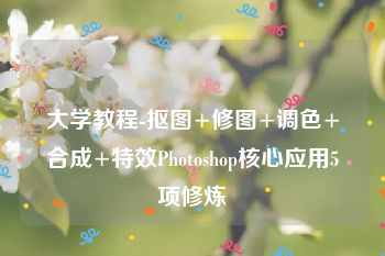 大学教程-抠图+修图+调色+合成+特效Photoshop核心应用5项修炼