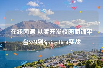 在线网课 从零开发校园商铺平台SSM到Spring Boot实战