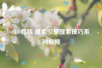 SEO教程 搜索引擎搜索技巧系列视频