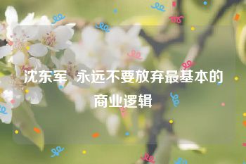 沈东军  永远不要放弃最基本的商业逻辑