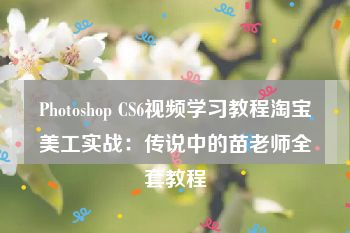 Photoshop CS6视频学习教程淘宝美工实战：传说中的苗老师全套教程