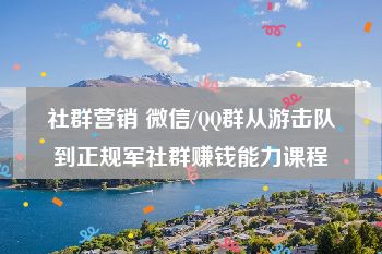 社群营销 微信/QQ群从游击队到正规军社群赚钱能力课程