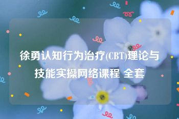 徐勇认知行为治疗(CBT)理论与技能实操网络课程 全套