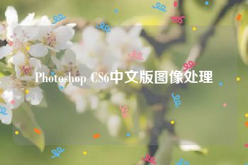 Photoshop CS6中文版图像处理