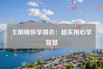 王阳明你学得会：超实用心学智慧