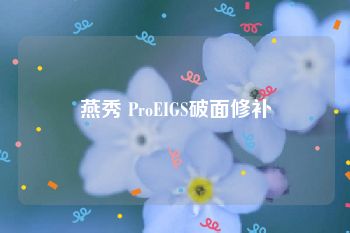 燕秀 ProEIGS破面修补