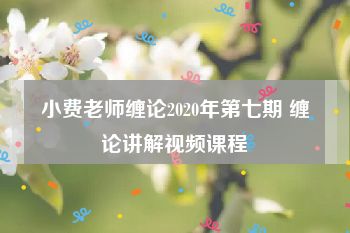 小费老师缠论2020年第七期 缠论讲解视频课程