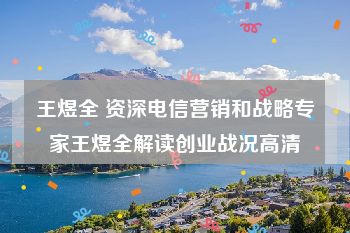 王煜全 资深电信营销和战略专家王煜全解读创业战况高清