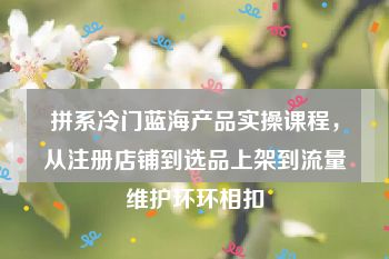 拼系冷门蓝海产品实操课程，从注册店铺到选品上架到流量维护环环相扣