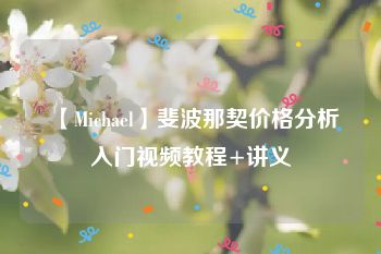 【Michael】斐波那契价格分析入门视频教程+讲义