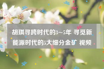 胡琪寻跨时代的3~5年 寻觅新能源时代的5大细分金矿 视频