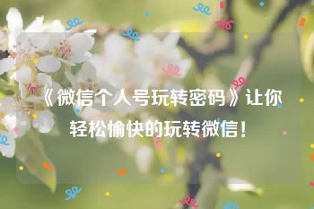 《微信个人号玩转密码》让你轻松愉快的玩转微信！