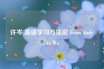 许岑 英语学习方法论 From Andy to Wo