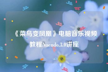 《菜鸟变凤凰》电脑音乐视频教程Nuendo.3.0讲座