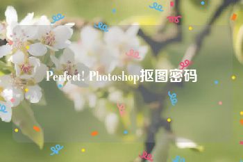 Perfect! Photoshop抠图密码