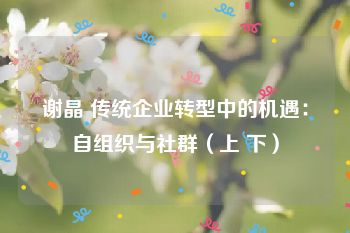 谢晶 传统企业转型中的机遇：自组织与社群（上 下）