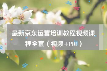 最新京东运营培训教程视频课程全套（视频+PDF）